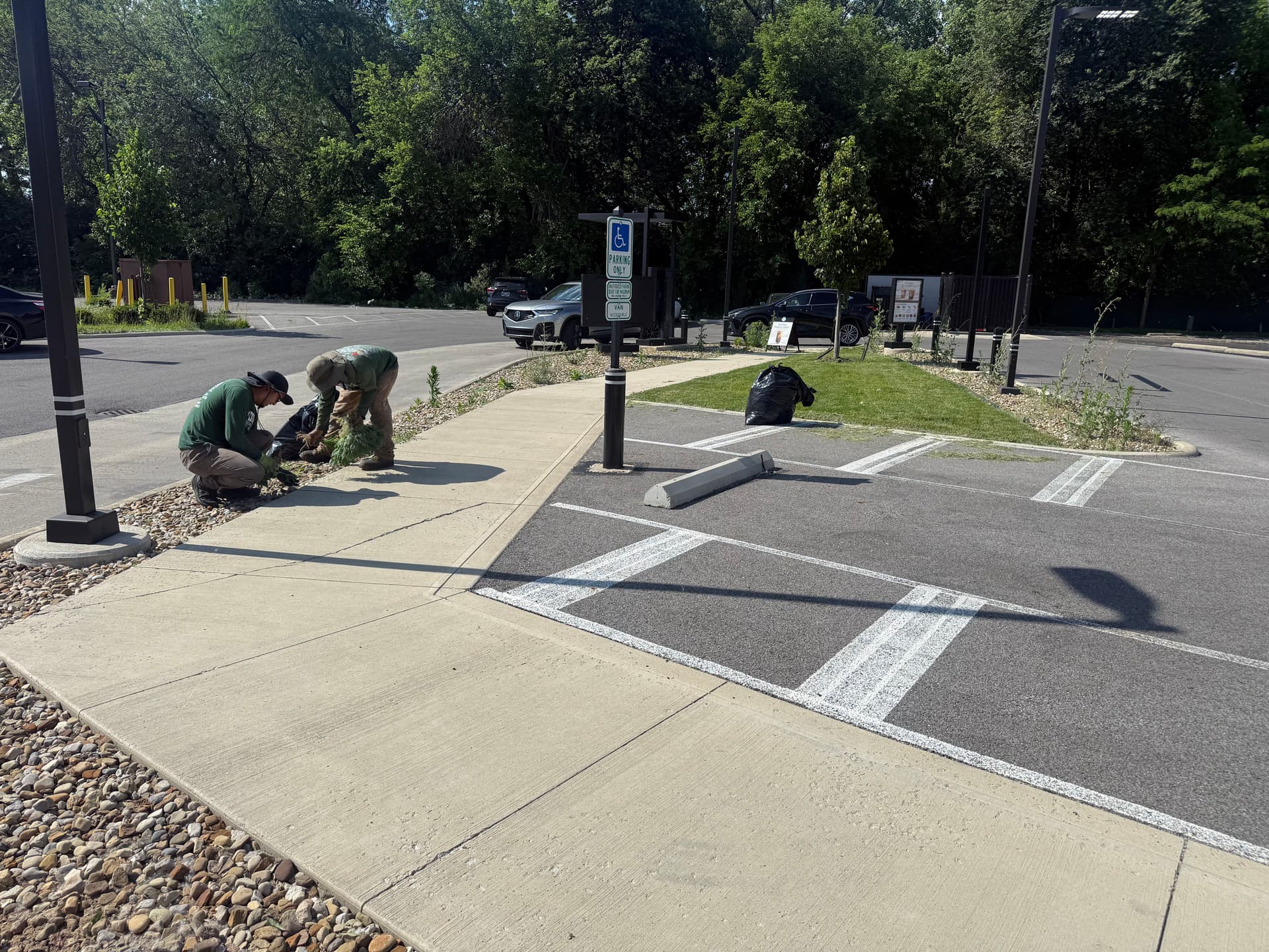 Commercial Landscape Maintenance Done Right in Columbus