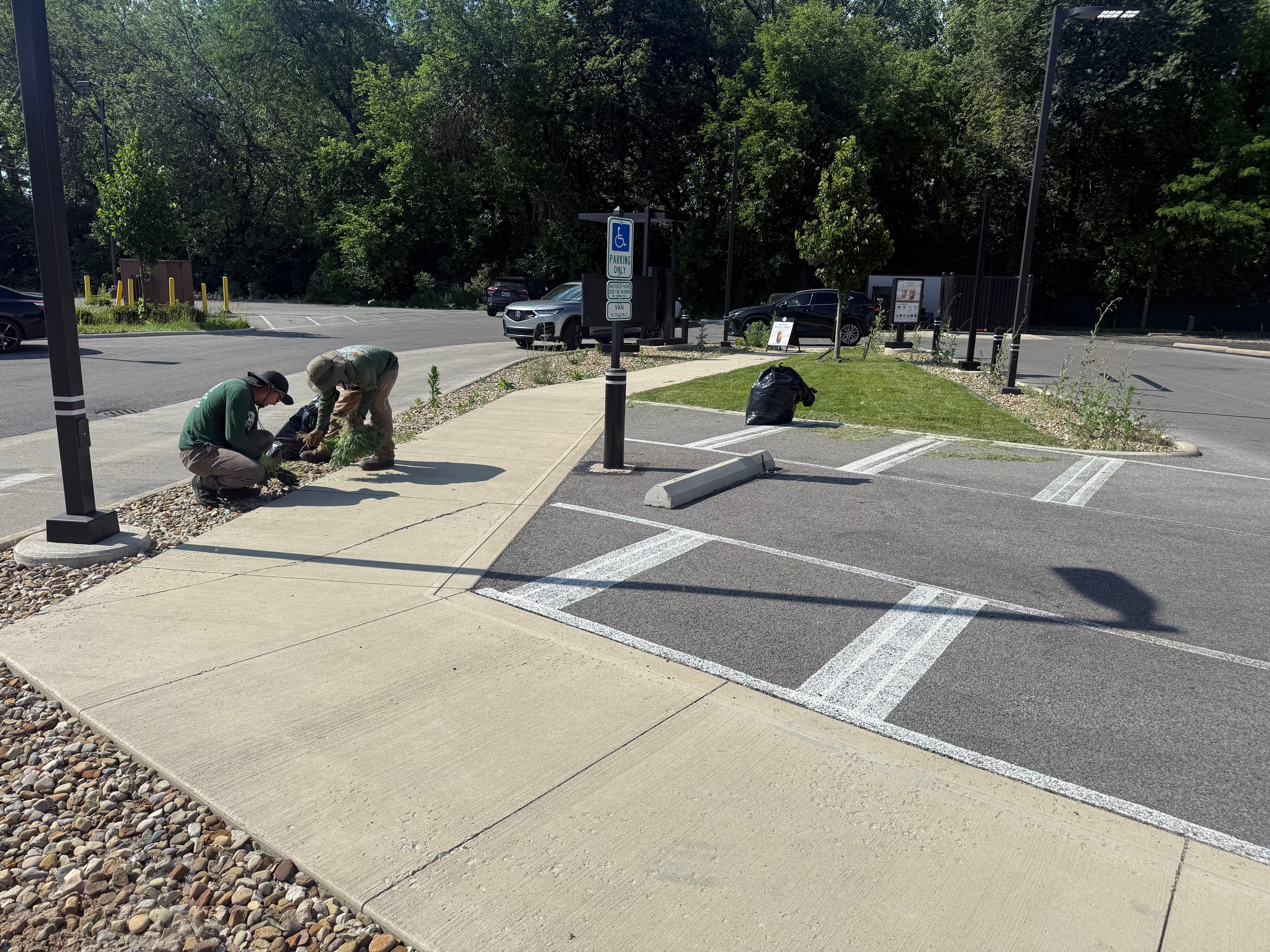Project Commercial Landscape Maintenance Done Right in Columbus image