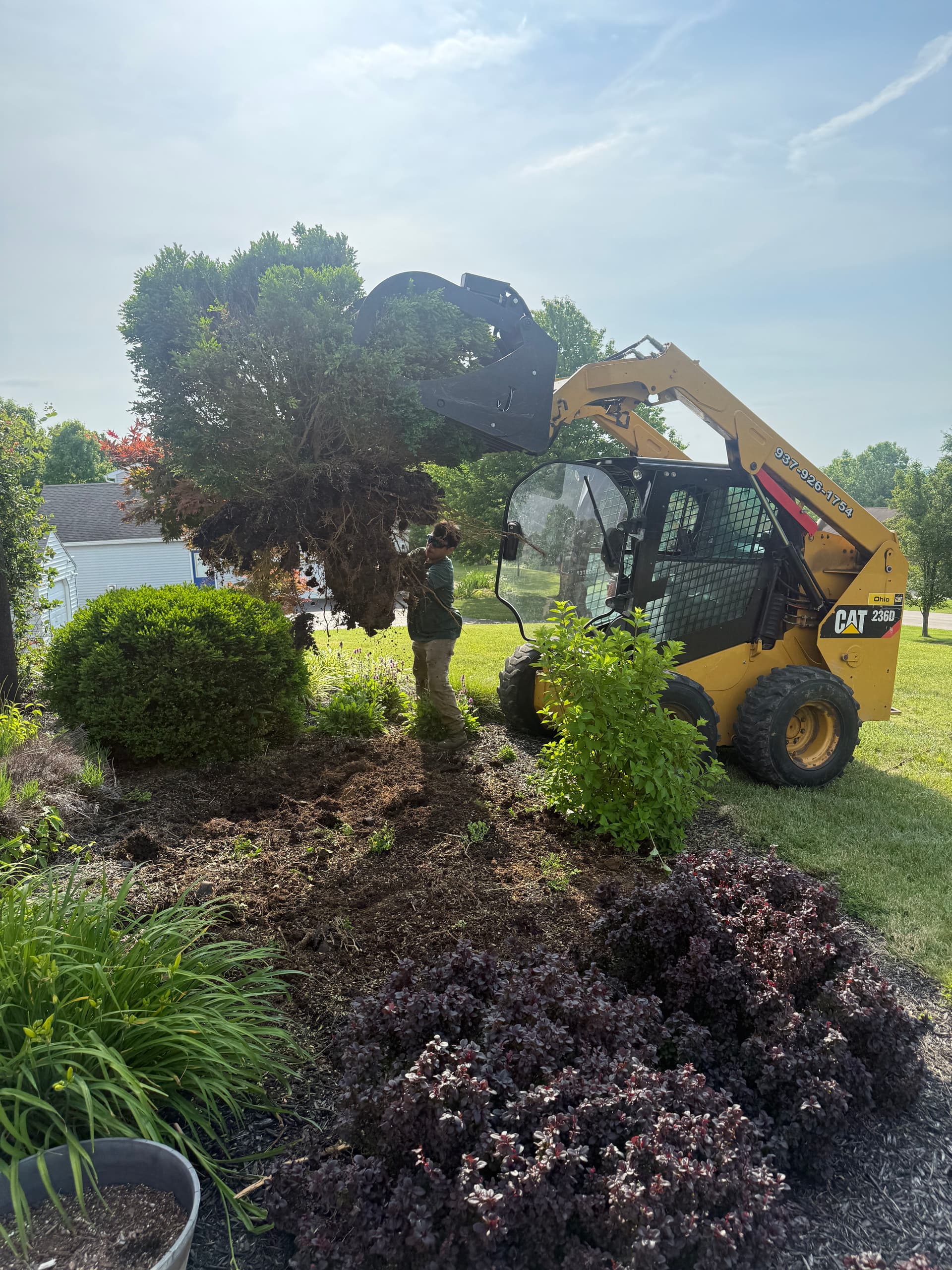 Overgrown Shrub Removal and Landscape Bed Cleanup Done Right