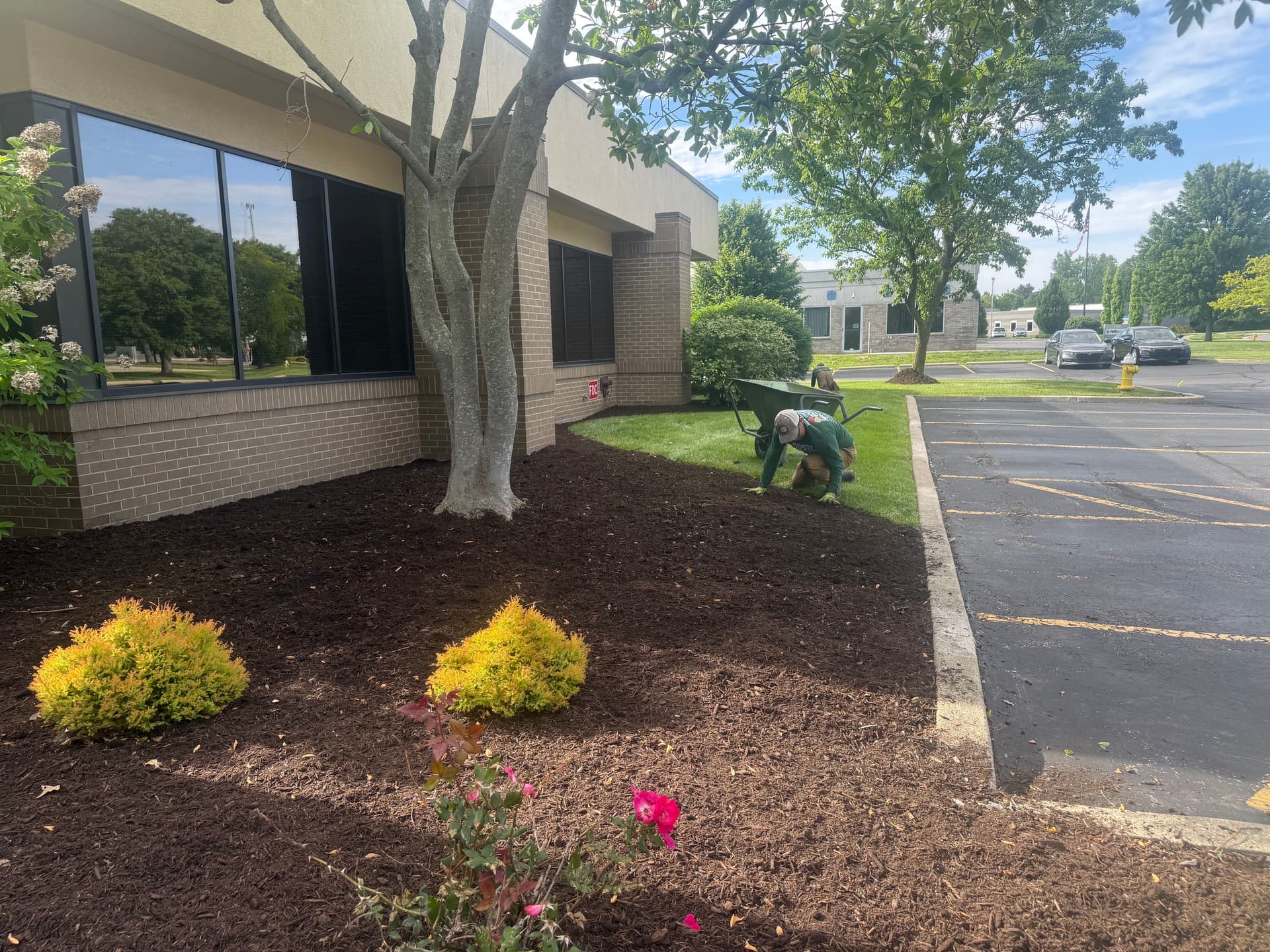Fresh Mulch and Clean Beds for Commercial Maintenance Accounts