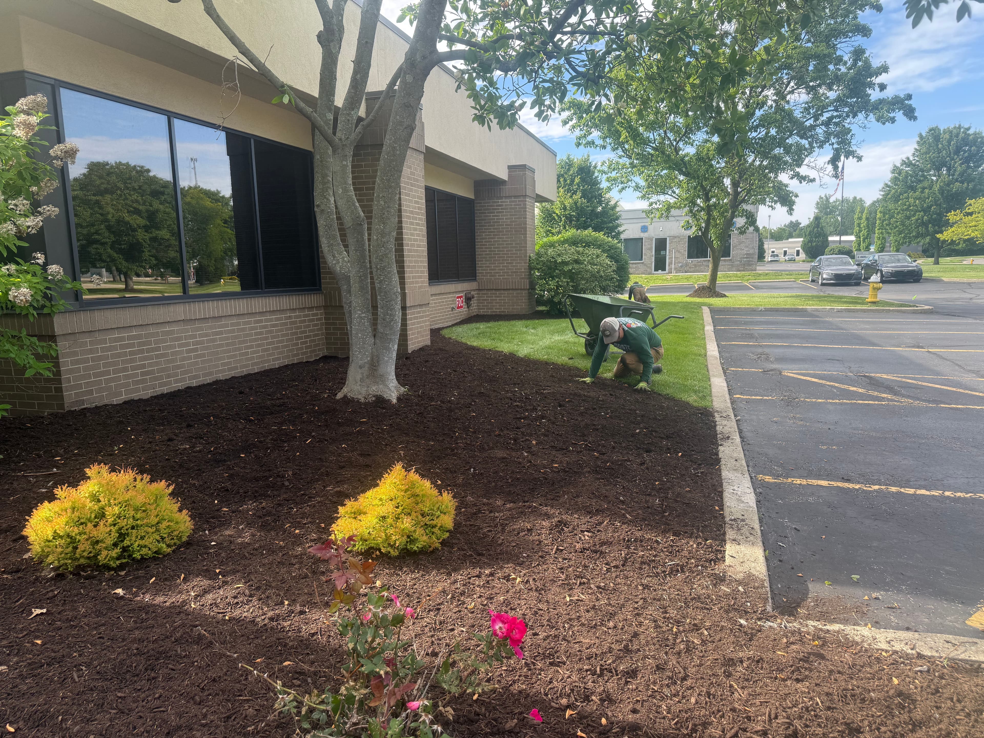 Project Fresh Mulch and Clean Beds for Commercial Maintenance Accounts image